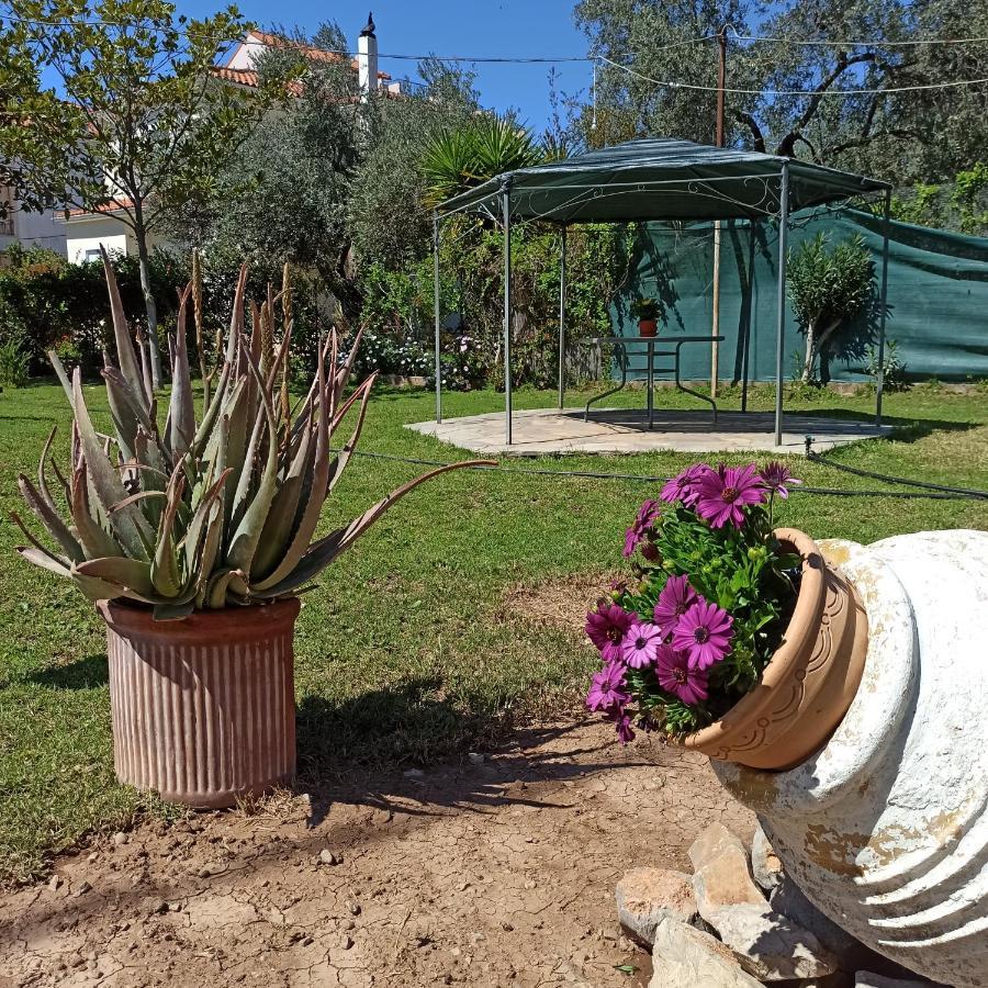 فيلا Itea'S Garden House Kirra المظهر الخارجي الصورة